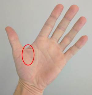 Grip Thenar Space