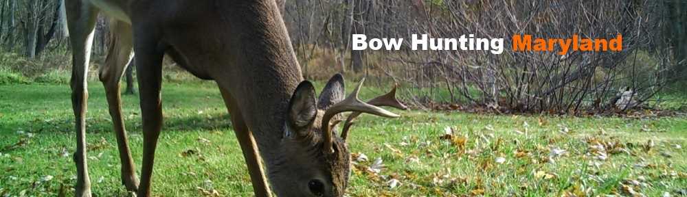 Bow Hunting Maryland
