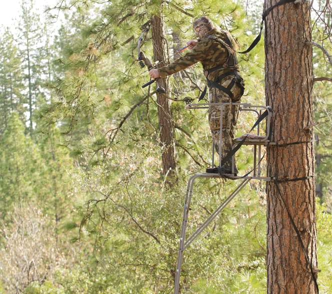 archery ladder tree stands