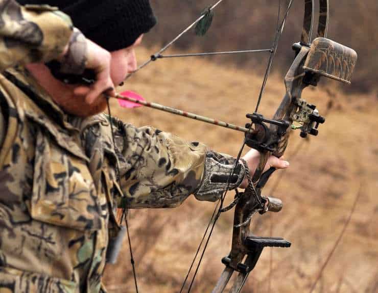 compound bow hunting