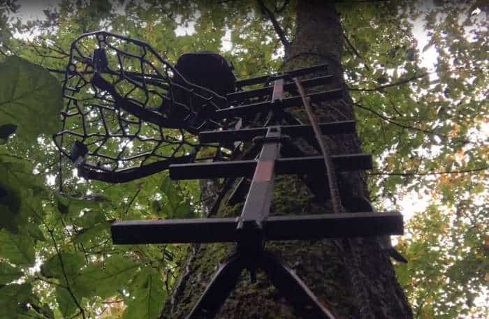 View up to a tree-stand with climbing sticks