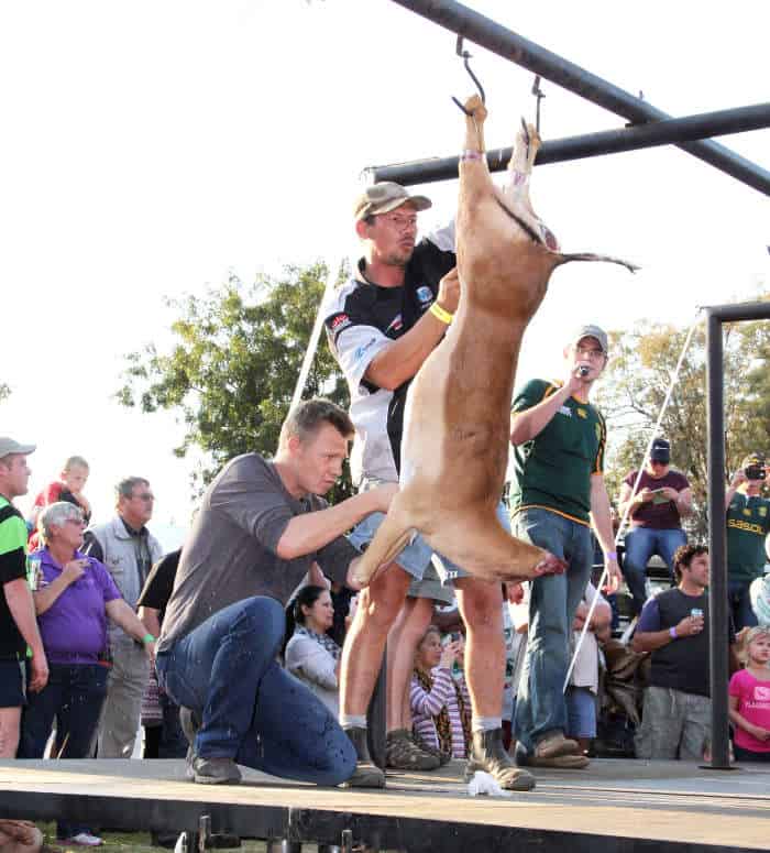 Deer skinning competition
