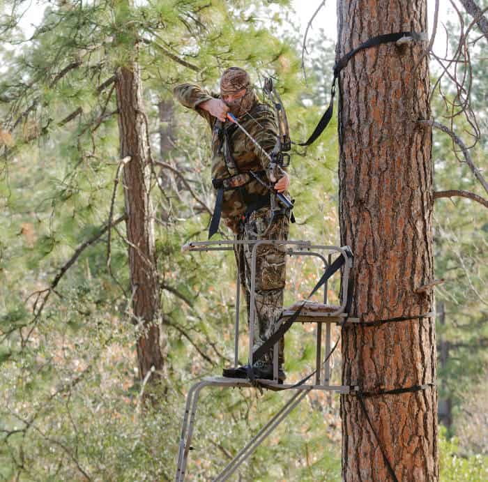 Aiming a bow in a tree-stand