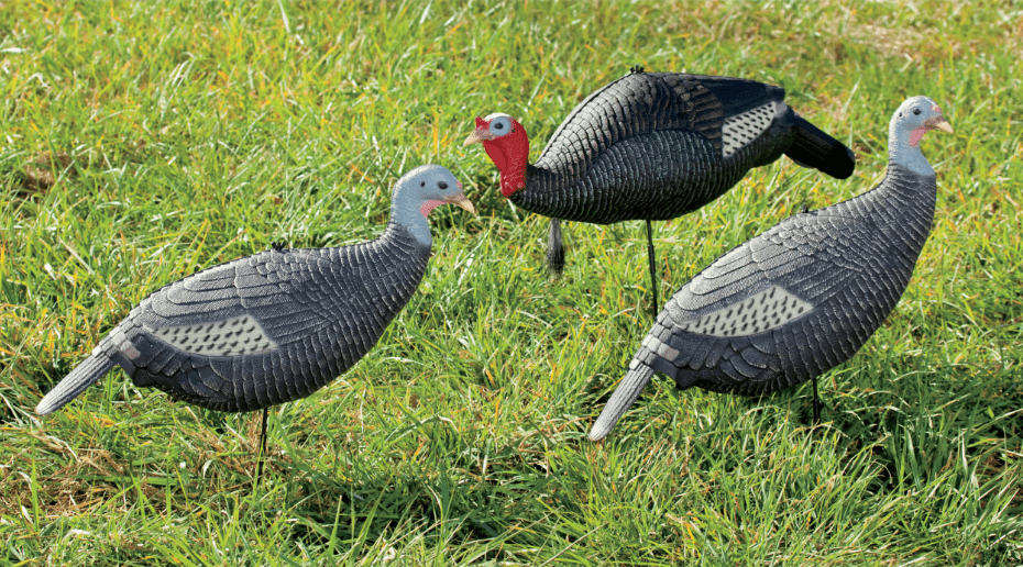 3 foam turkey decoys