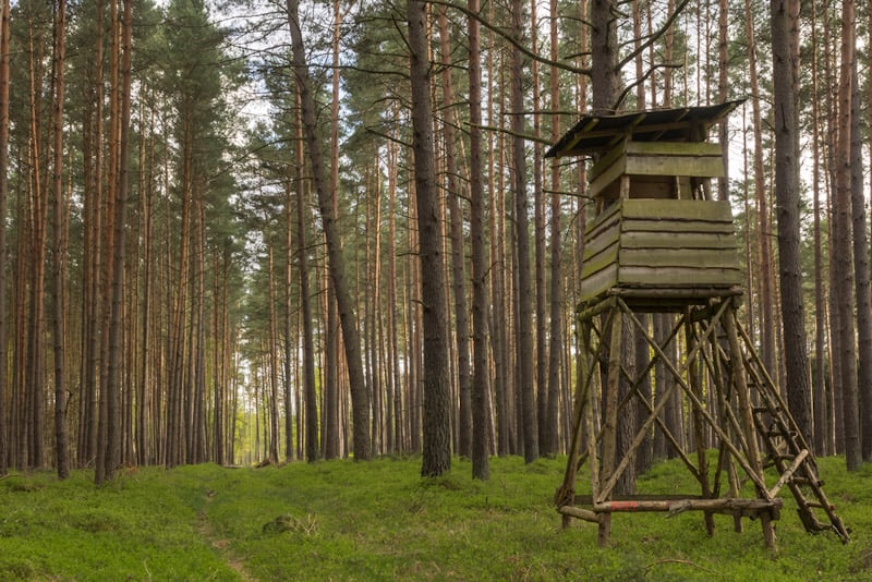 An elevated hunting blind in the forest